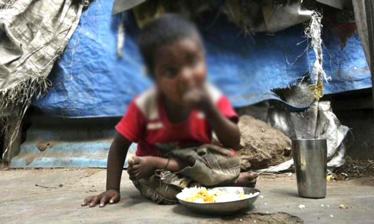 Lack Of Basic Amenities Like Water, Electricity Violates Fundamental Rights Of Tribal Villagers In Gadchiroli: Bombay HC Takes Suo Motu Cognizance Lack Of Basic Amenities Like Water, Electricity Violates Fundamental Rights Of Tribal Villagers In Gadchiroli: Bombay HC Takes Suo Motu Cognizance