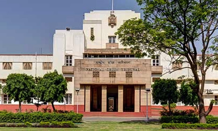 NGT Pulls Up Delhi Govt. For Failing To Adequately Regulate Banquet Halls Violating Environment Rules [Read Order]