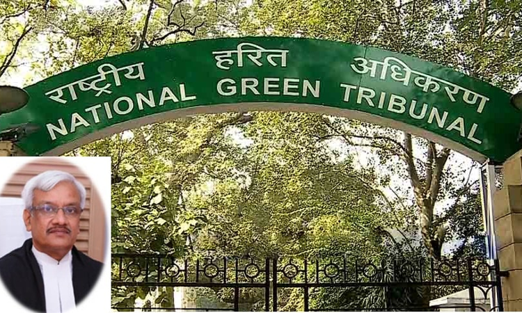 NGT Quashes Environmental Clearance Given To Andhra Pradesh’s Avulapalli Reservoir, Imposes 100 Cr Penalty On Govt NGT Quashes Environmental Clearance Given To Andhra Pradesh’s Avulapalli Reservoir, Imposes 100 Cr Penalty On Govt