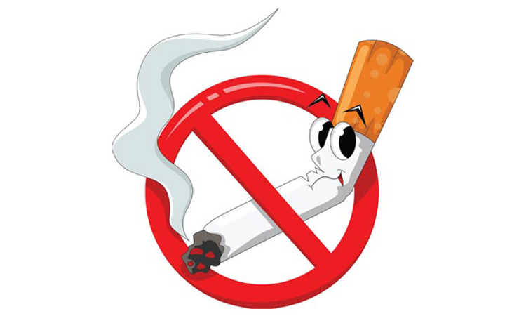 Merely Keeping Tobacco Products At Ones Residence Not An Offence: Kerala High Court