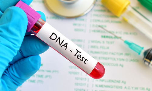 Telangana High Court Upholds Bail Cancellation After POCSO Accused Refuses DNA Test, Says It Amounts To Non-Cooperation Telangana High Court Upholds Bail Cancellation After POCSO Accused Refuses DNA Test, Says It Amounts To Non-Cooperation