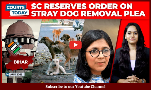 Delhi Stray Dogs | Bihar SIR | J&K Statehood Restoration | Swati Maliwal | Renukaswamy Murder Case [VIDEO]