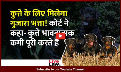 Mumbai Court Awards Maintenance For Woman’s Rottweiler Dogs In Domestic Violence Case [Video-Hindi]