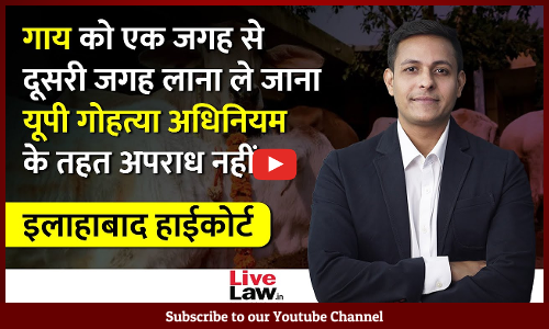 Merely Transporting Cow Within State Wouldnt Amount To An Offence Under UP Cow Slaughter Act: Allahabad High Court [Video-Hindi]