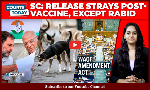 Stray Dogs | Bihar SIR | Vote-Chori Campaign | Waqf Amendment Act | The Wire | Sambhal Mosque [VIDEO]