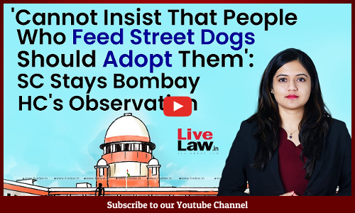 Cannot Insist That People Who Feed Street Dogs Should Adopt Them: SC Stays Bombay HCs Observation [VIDEO]