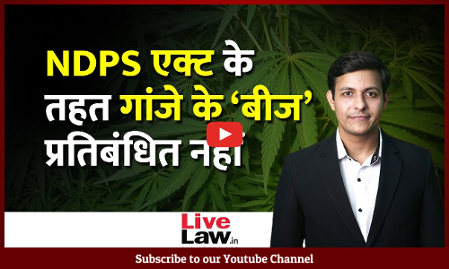 Ganja Seeds Not Banned Contraband Under NDPS Act: Supreme Court [Video]