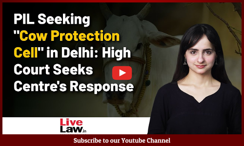 PIL Seeking Cow Protection Cell in Delhi: High Court Seeks Centres Response [VIDEO]