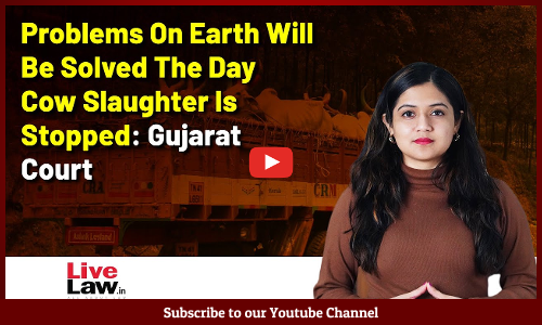 Problems On Earth Will Be Solved The Day Cow Slaughter Is Stopped: Gujarat Court [VIDEO]
