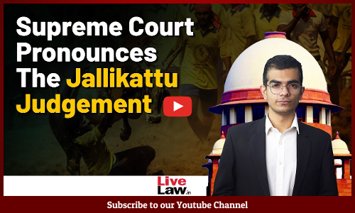 Supreme Court Says Legislature Best Suited To Decide If Jallikattu is Part of Cultural Heritage [Video]